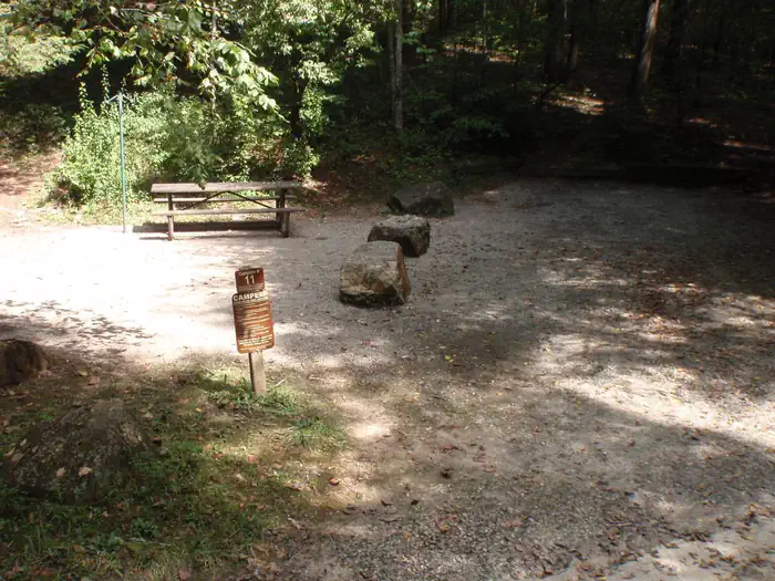 Site 11