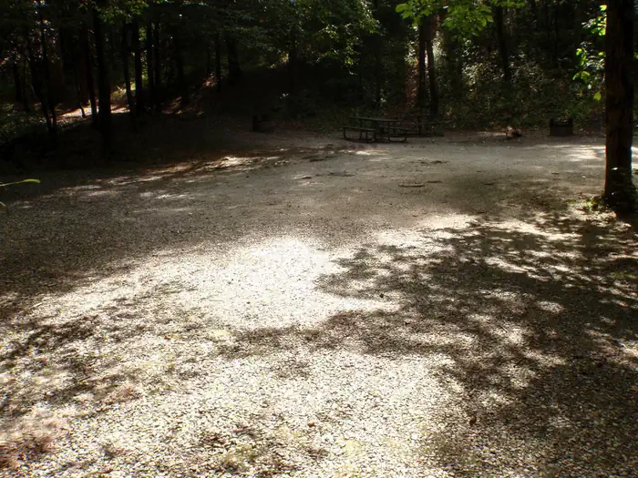 Cooper Creek