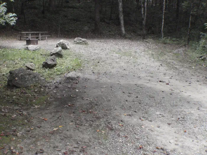 Site 10