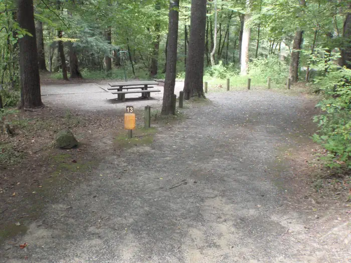 Site 13