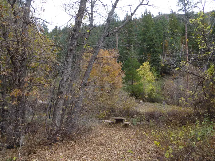 Pine Flat Campground West