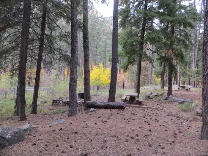 Pine Flat Campground West