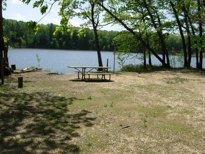 Upper Manistee River Backcountry Campsites