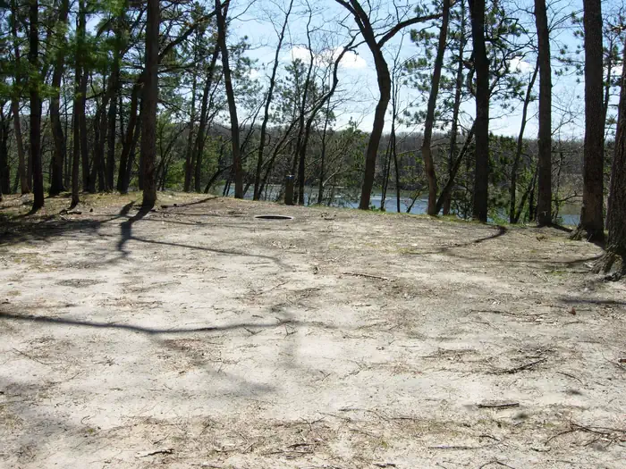 Upper Manistee River Backcountry Campsites