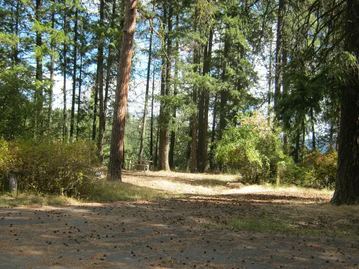 Kamloops Island Campground