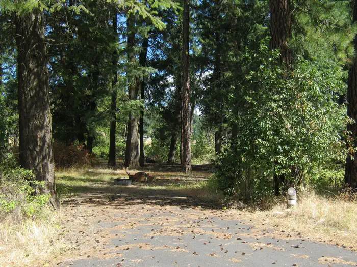 Kamloops Island Campground