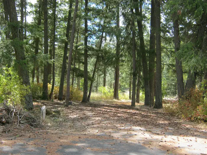 Kamloops Island Campground