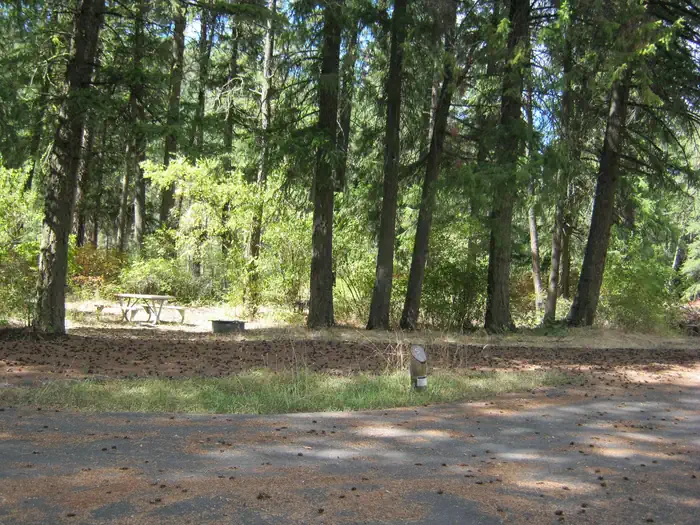Kamloops Island Campground