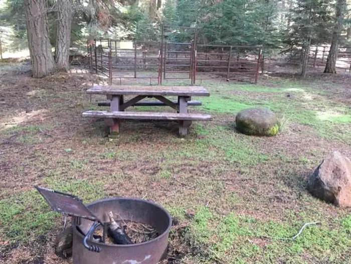 01-Equestrian Camp