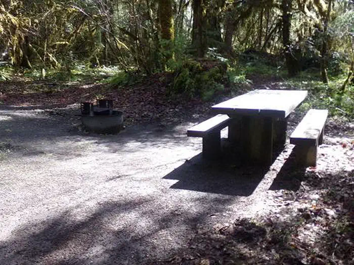 Mckenzie Bridge