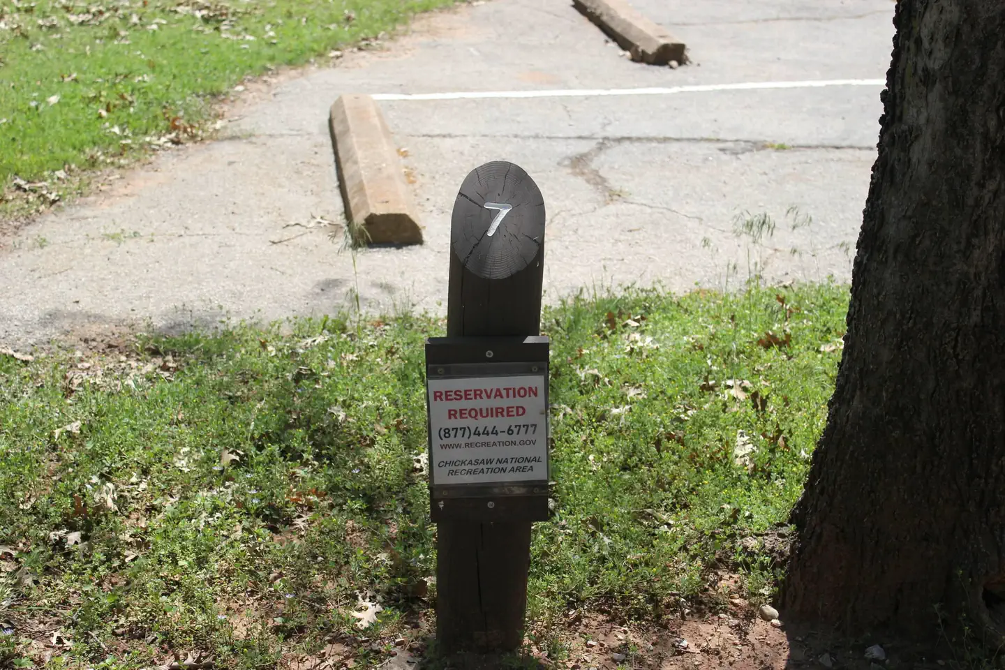 Central Group Campground