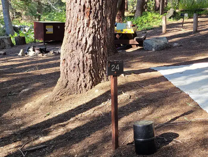 Cold Springs Campground (ca)