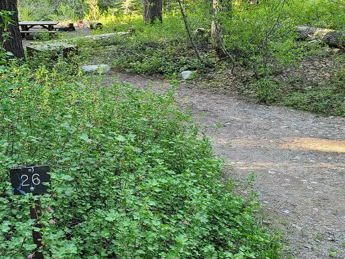 Cold Springs Campground (ca)