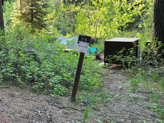 Cold Springs Campground (ca)