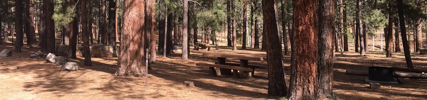 North Rim Campground (AZ)