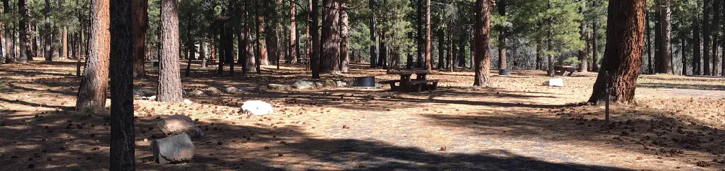 North Rim Campground (AZ)