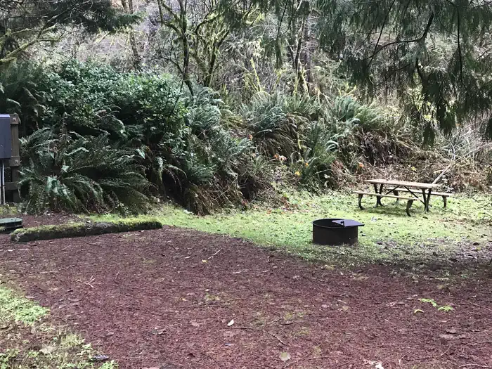Cape Perpetua