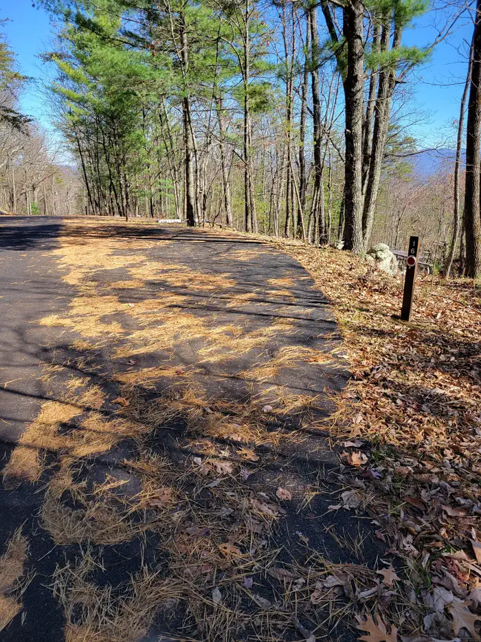 Look Rock Campground - Great Smoky Mountains (Re-Opened 2023)