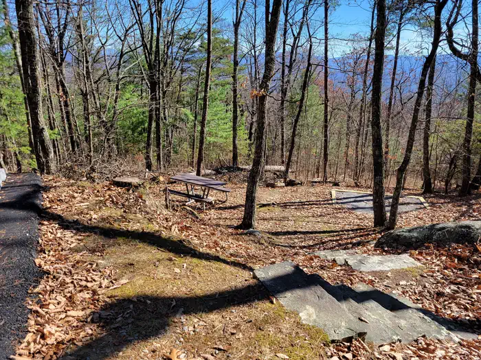 Look Rock Campground - Great Smoky Mountains (Re-Opened 2023)