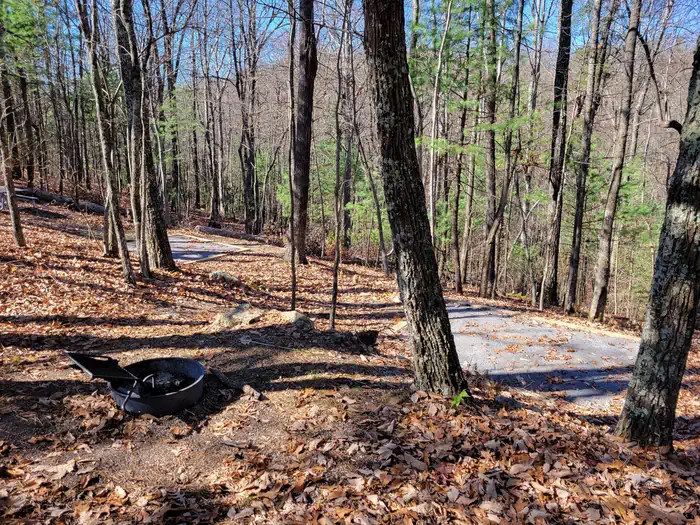 Look Rock Campground - Great Smoky Mountains (Re-Opened 2023)