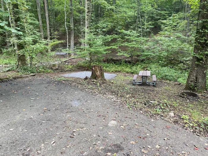 Look Rock Campground - Great Smoky Mountains (Re-Opened 2023)