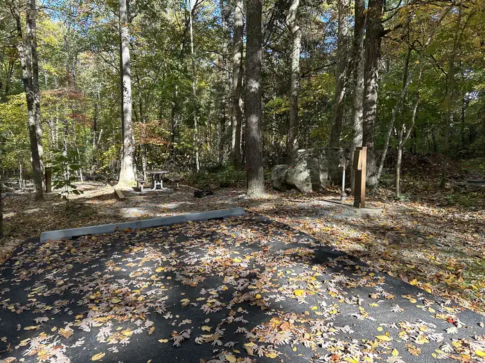 Look Rock Campground - Great Smoky Mountains (Re-Opened 2023)