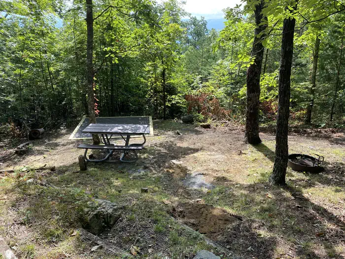 Look Rock Campground - Great Smoky Mountains (Re-Opened 2023)