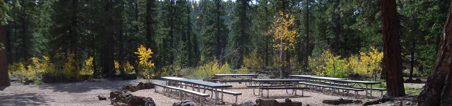 DUCK CREEK