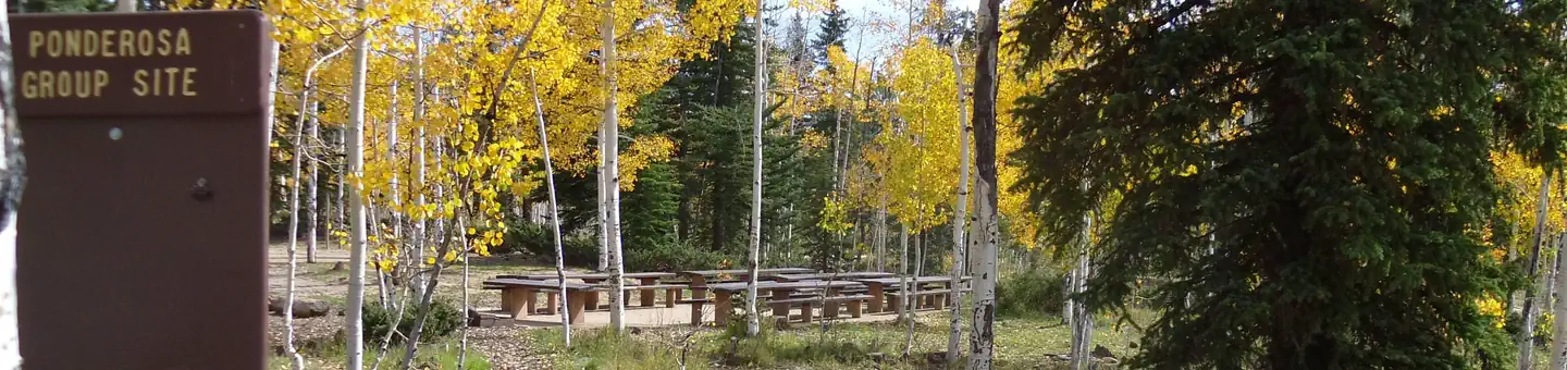 DUCK CREEK