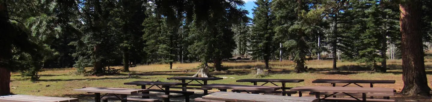 DUCK CREEK