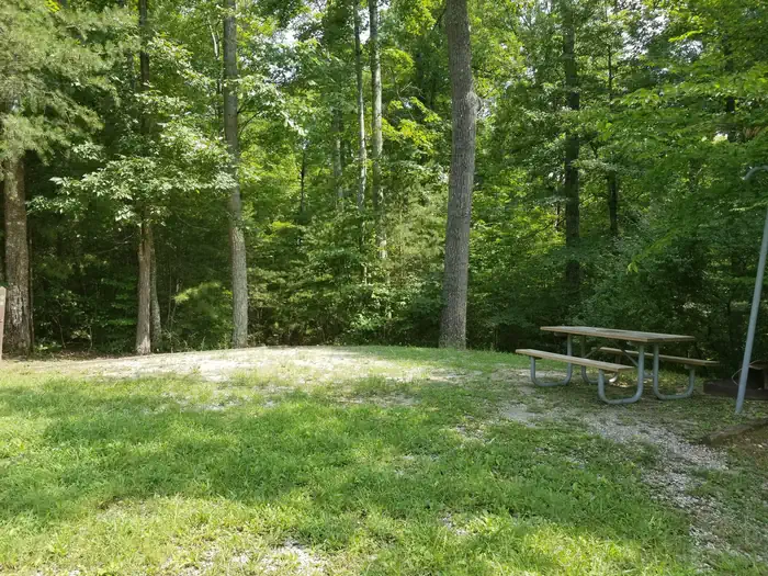 Bear Creek Horse Camp