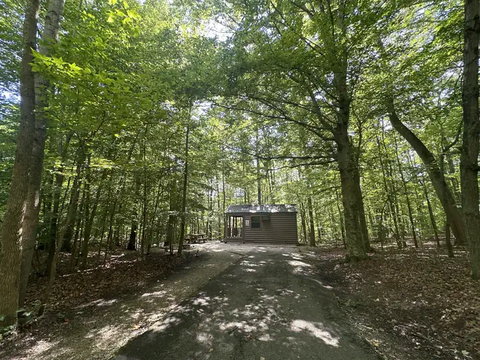 ZILPO - DANIEL BOONE NAT. FOR.