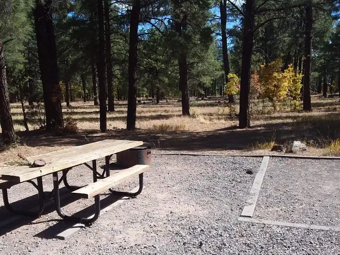 Dogtown Lake Campground And Group