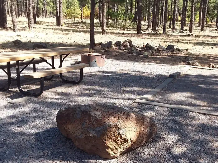 Dogtown Lake Campground And Group