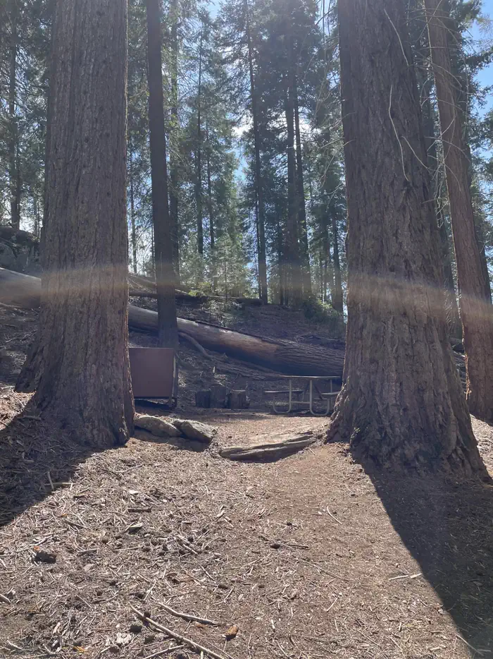 Atwell Mill Campground - Sequoia National Park
