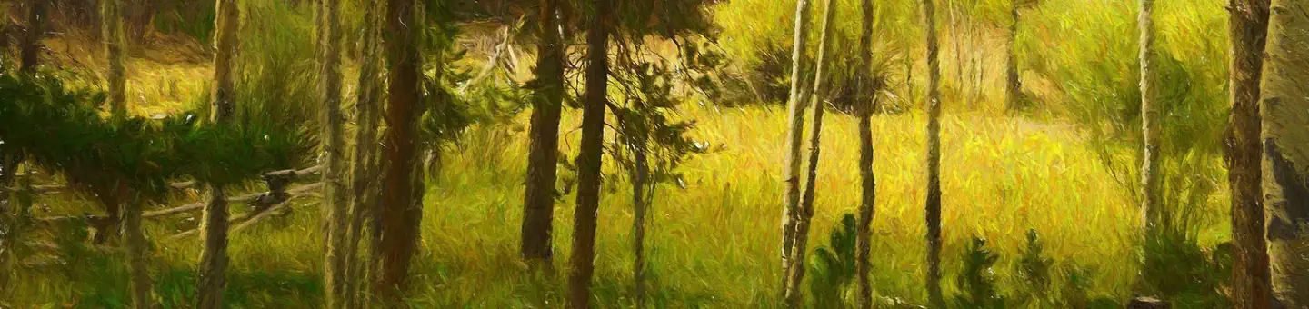 Lost Cabin Campground