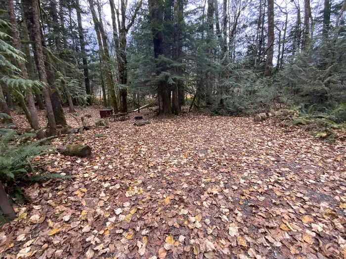 Goodell Creek Campground
