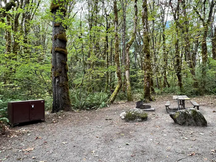 Goodell Creek Campground