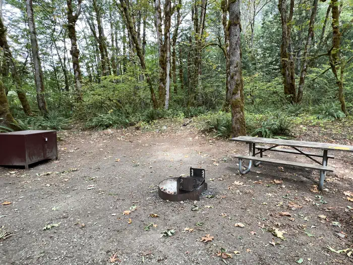 Goodell Creek Campground