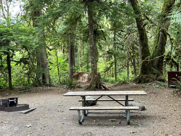 Goodell Creek Campground