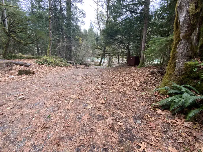 Goodell Creek Campground