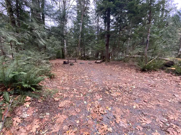 Goodell Creek Campground
