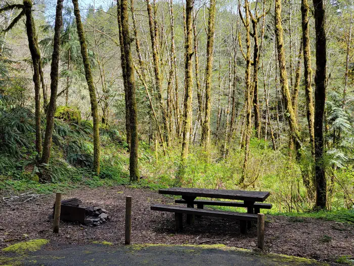 Fan Creek Rec. Site