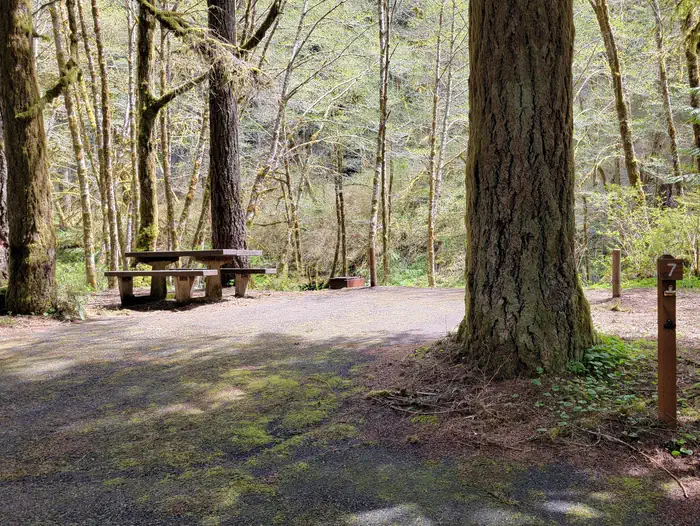 Fan Creek Rec. Site
