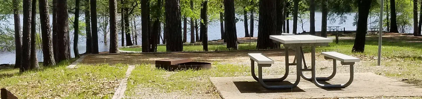 Alley Creek Camp