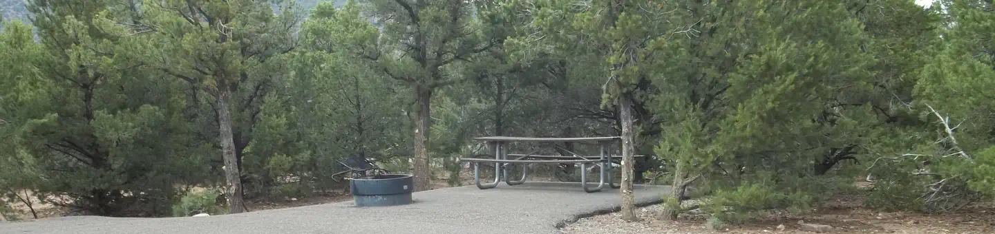Cedar Springs Campground