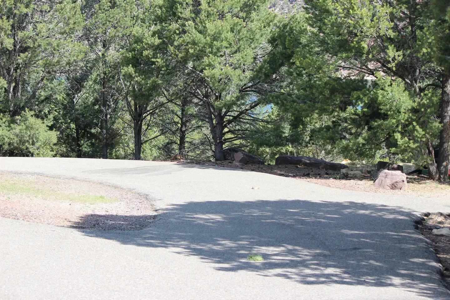 Cedar Springs Campground