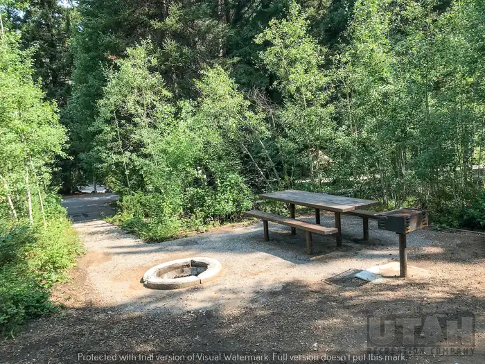 Spruces - Big Cottonwood