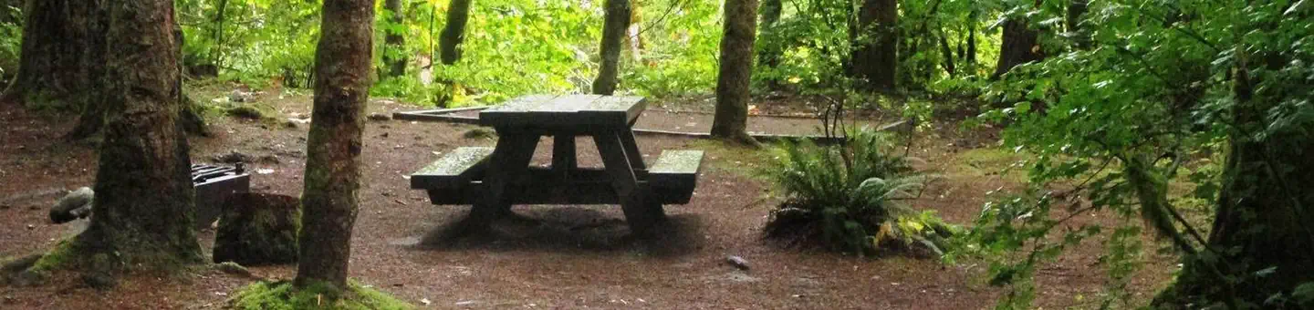 Beckler River Campground