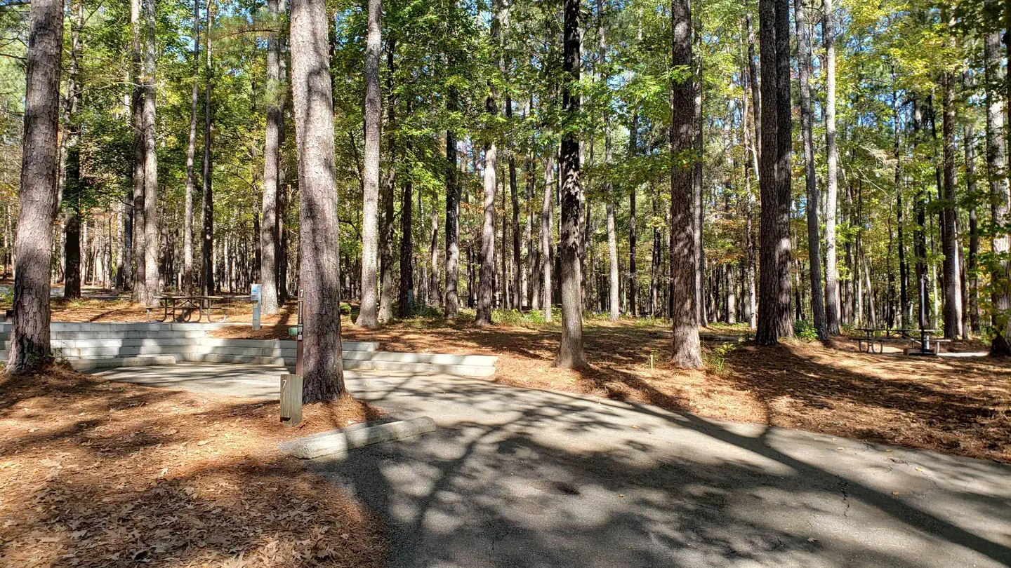 Piney Grove
